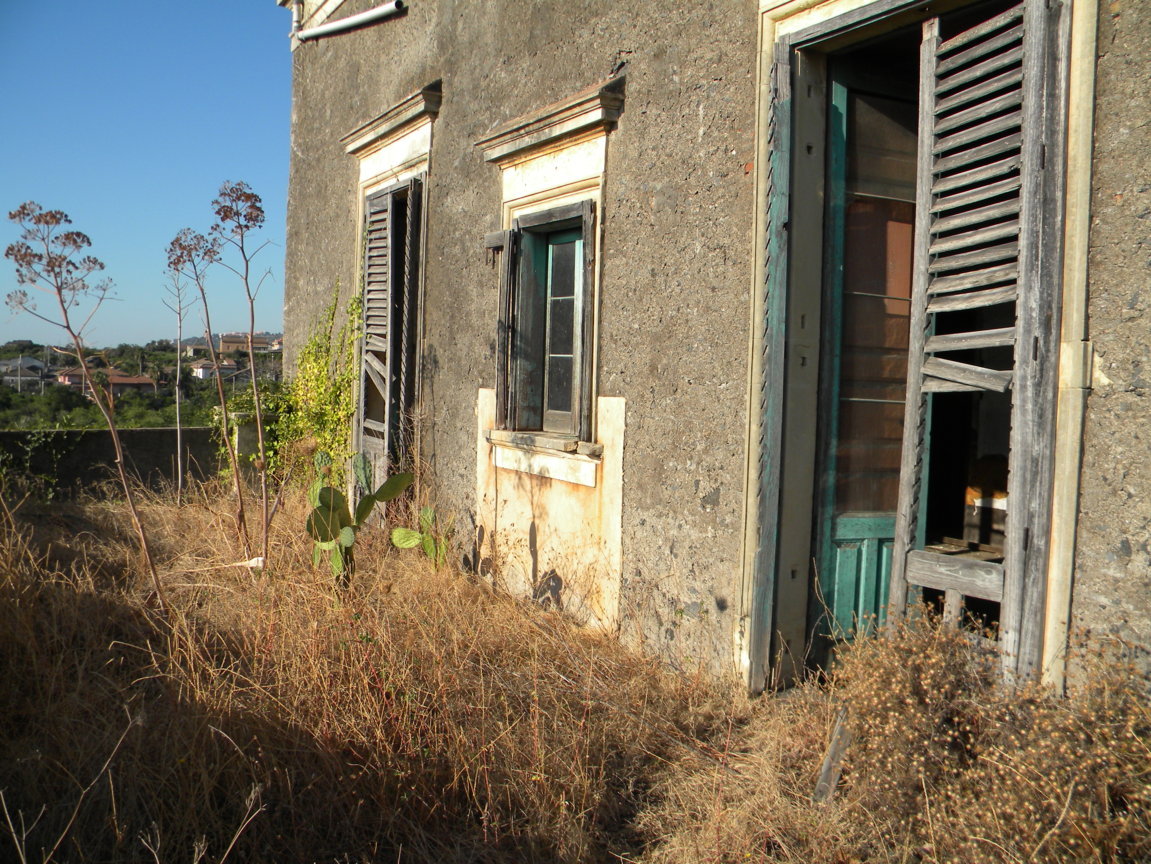 DSCN8022 .JPG